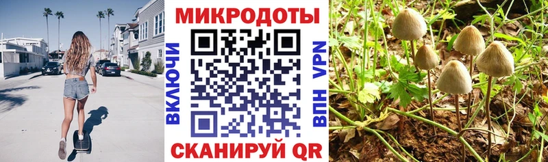 Купить закладки  Пущино  Псилоцибиновые грибы прущие грибы 