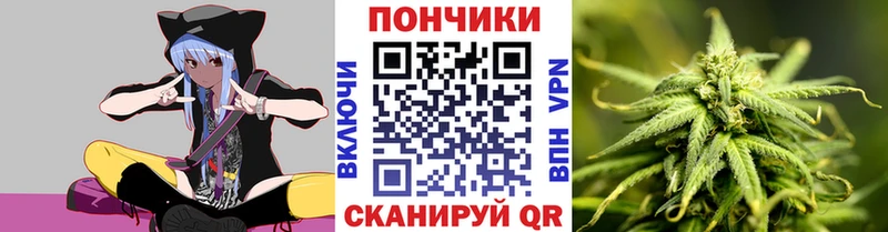Каннабис SATIVA & INDICA  Купить закладки  Пущино 